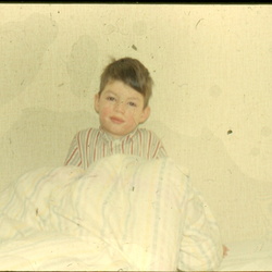 Vores-foerste-hus-Drosselvej